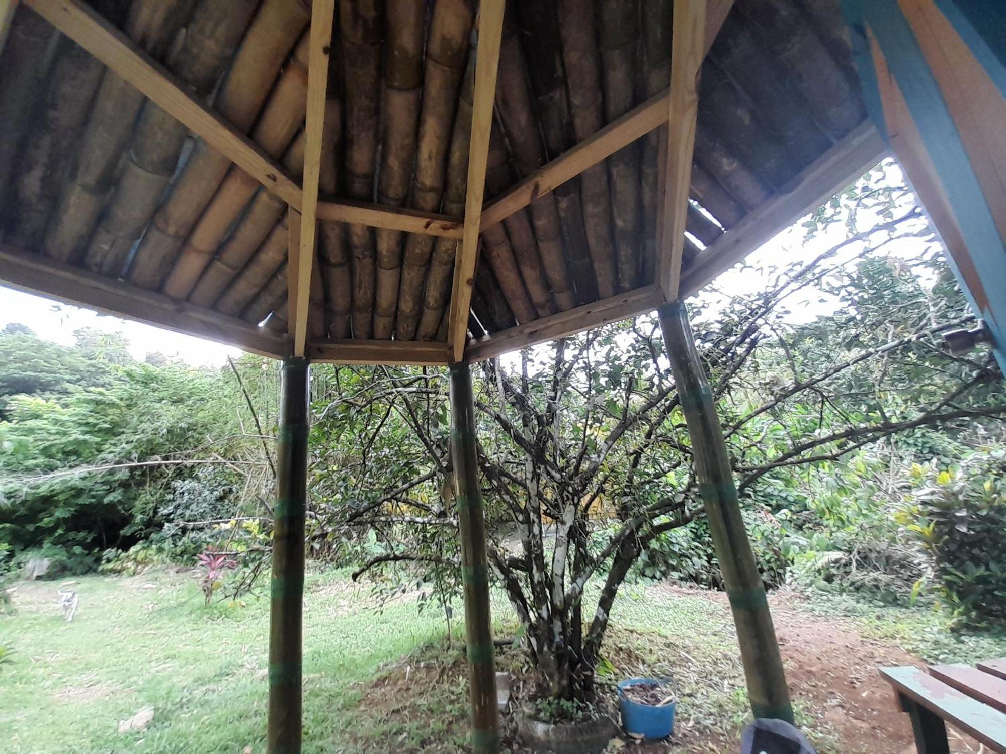3 Rivers Eco Lodge Rosalie Zimmer foto