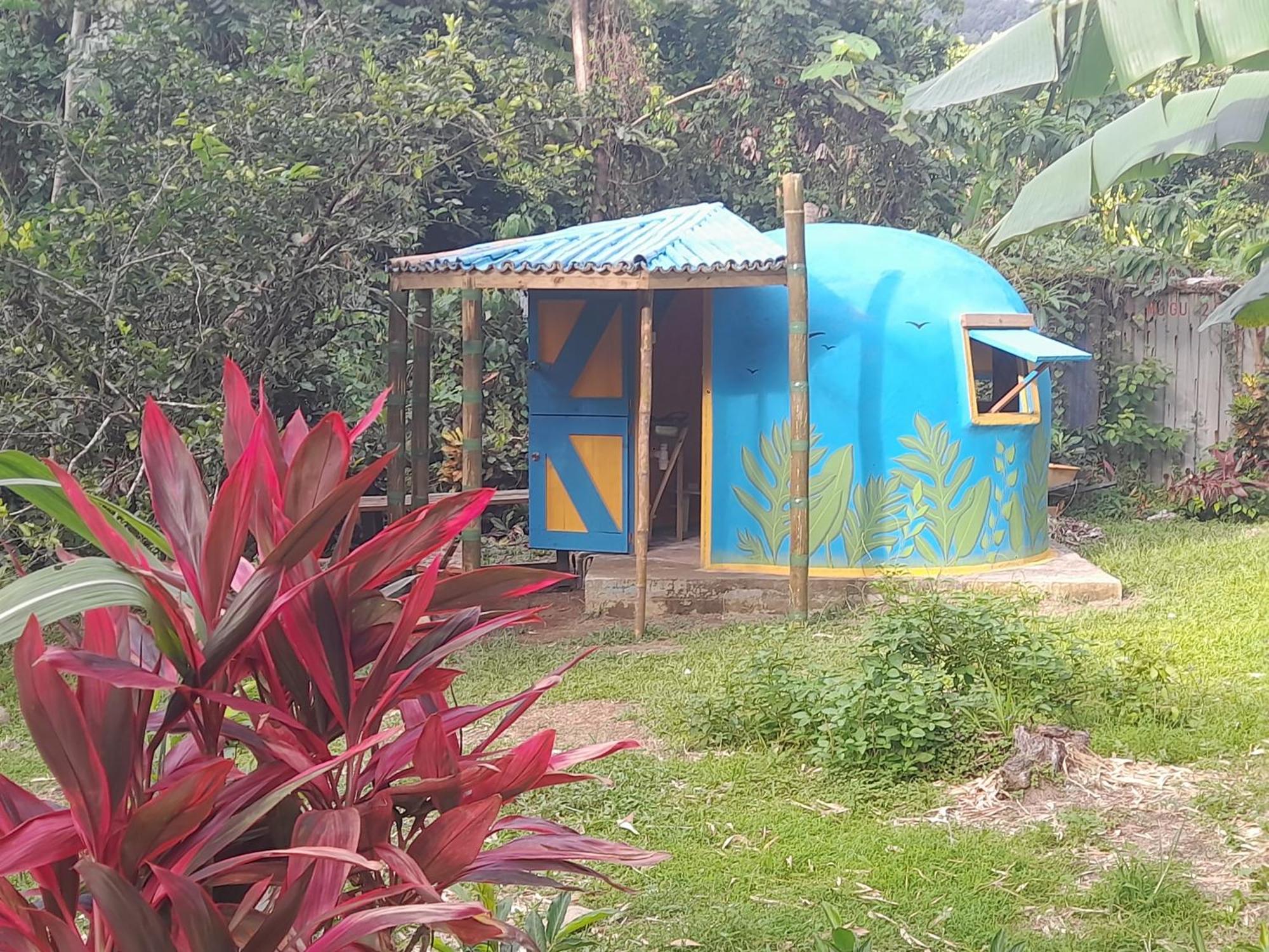 3 Rivers Eco Lodge Rosalie Zimmer foto