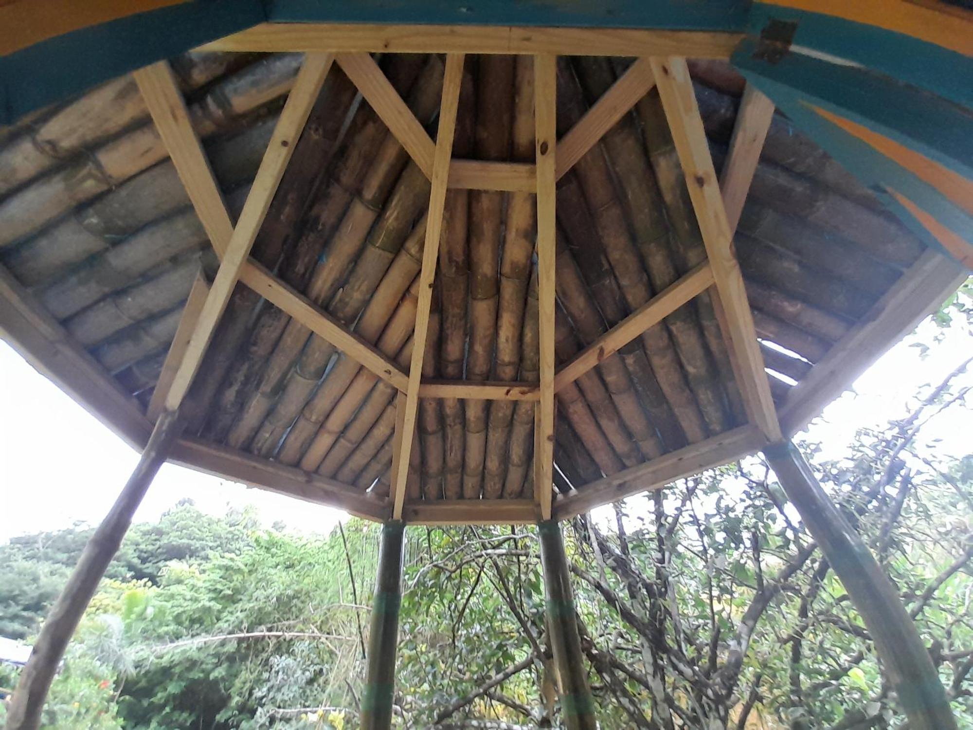 3 Rivers Eco Lodge Rosalie Zimmer foto