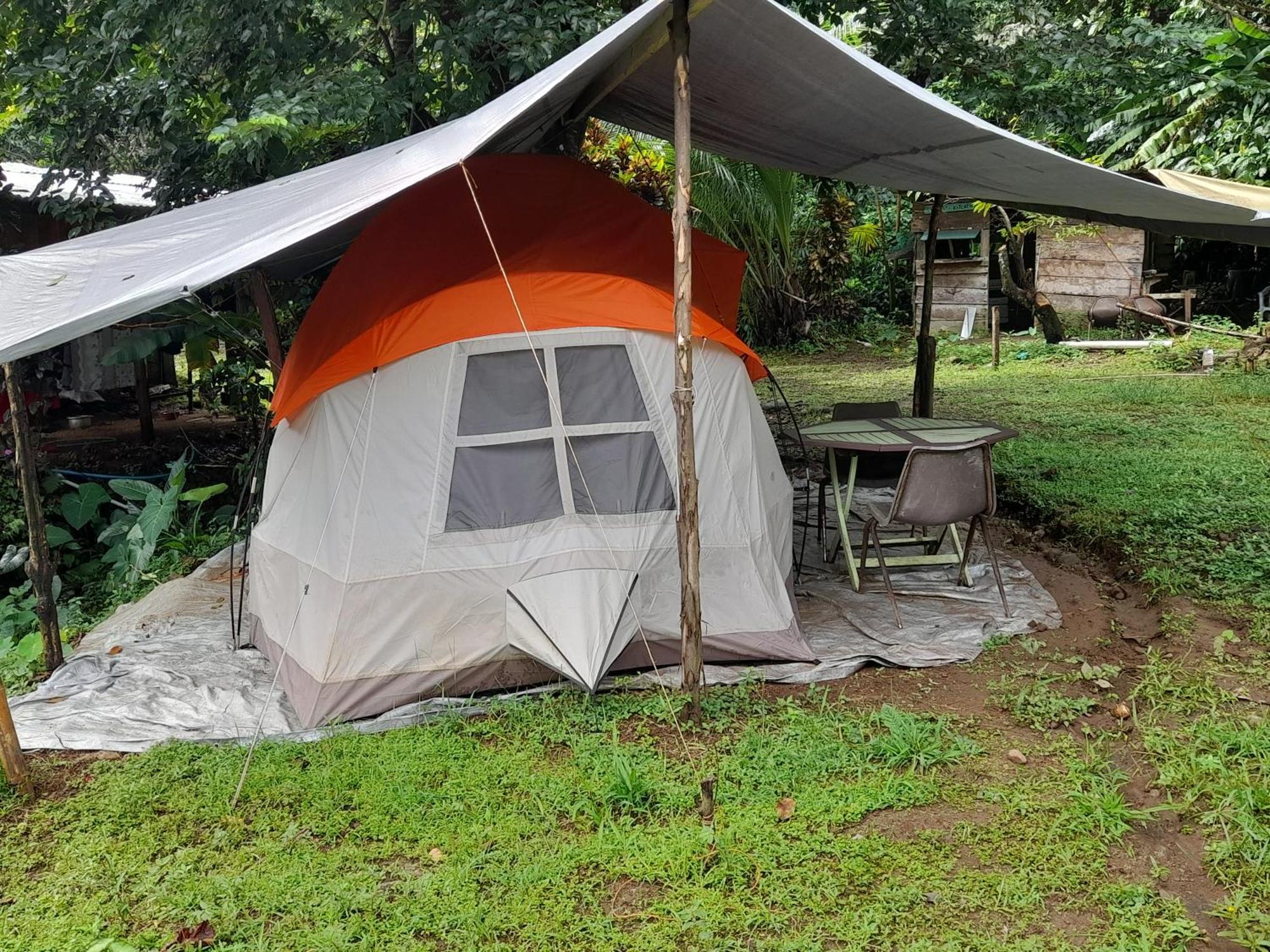 3 Rivers Eco Lodge Rosalie Zimmer foto
